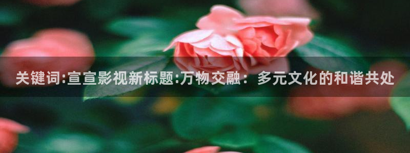 神马影院不伦