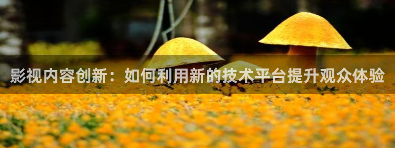 神马影院不卡视频