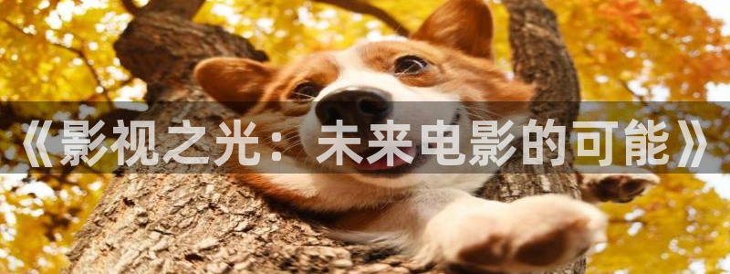神马影院午夜超神