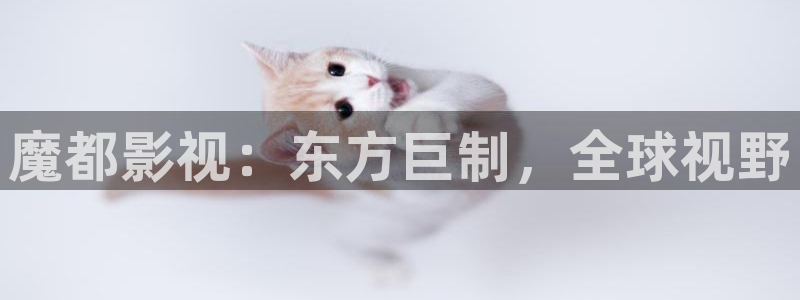 神马未来影院我不卡