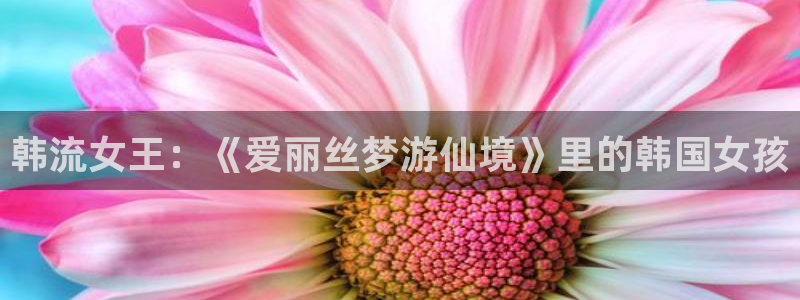 神马电影神马影院神马电影网