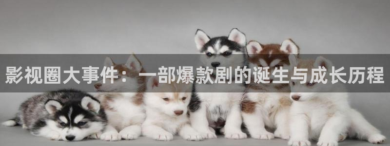 神马影院马圈：影视圈大事件：一部爆款剧的诞生与成长历程