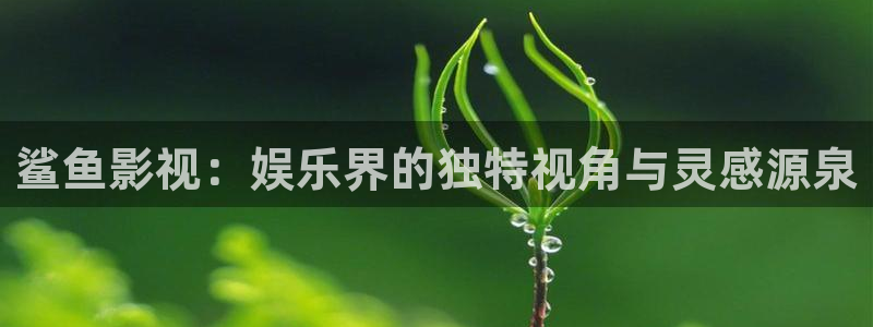 达达兔影院免费观看电视剧大全神马：鲨鱼影视：娱乐界的独特视角与灵感源泉