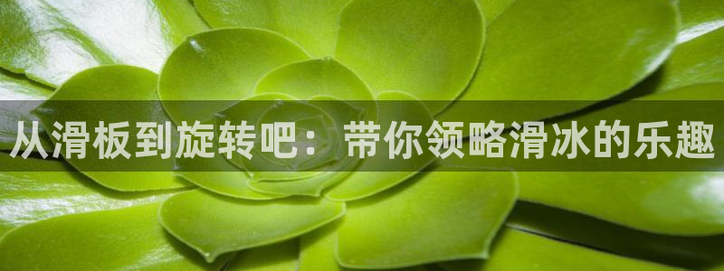 老神马影院