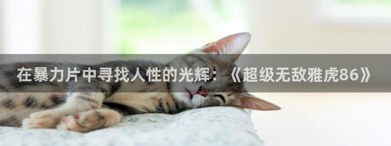 未来影院神马影院在线观看：在暴力片中寻找人性的光辉：《超级无敌雅虎86》