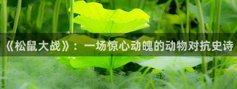 神马影视免费在线：《松鼠大战》：一场惊心动魄的动物对抗史诗
