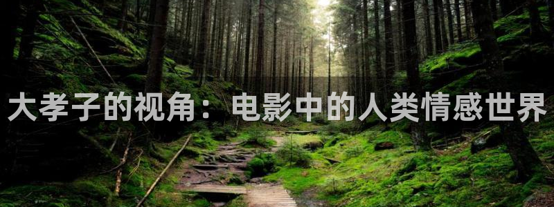 神马影院看看：大孝子的视角：电影中的人类情感世界