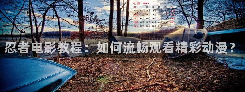 神马电影ddt：忍者电影教程：如何流畅观看精彩动漫？