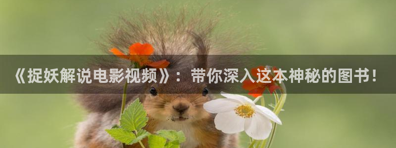 达达兔影院神马：《捉妖解说电影视频》：带你深入这本神秘的图书！