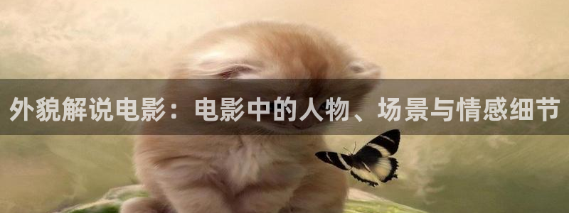 神马小影院：外貌解说电影：电影中的人物、场景与情感细节