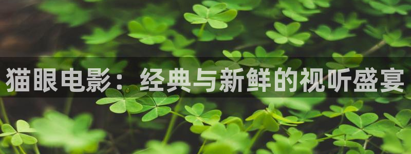 神马影院在线观看麻豆：猫眼电影：经典与新鲜的视听盛宴