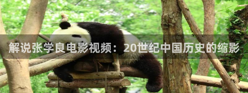 神马电a九影院：解说张学良电影视频：20世纪中国历史的缩影