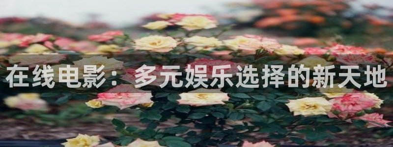 神马三级我卡