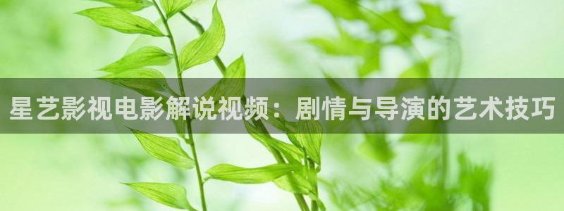 神马影院在线观看韩国