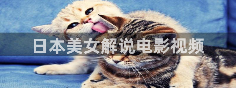 神马午夜影院国产