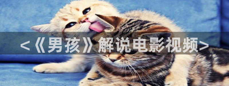 神马影视我不卡影院tv
