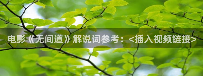 神马电影第九伦理
