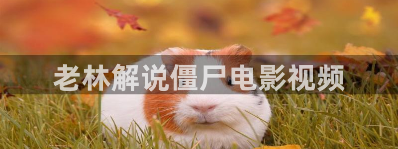 good神马电影伦理午夜