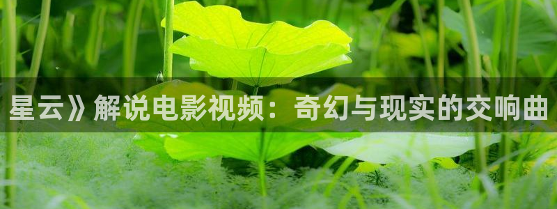 一天的交换神马影院