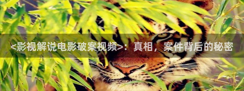 神马手机影视不卡