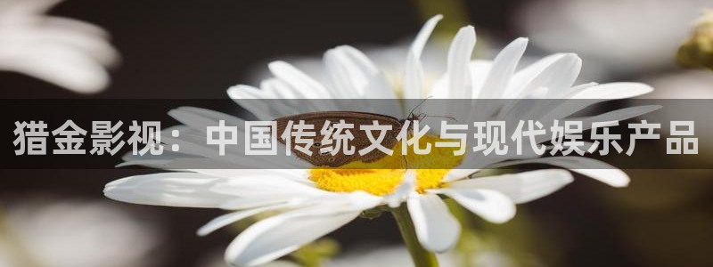 神马电影 光棍