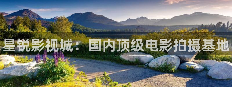 神马影院神马电影网