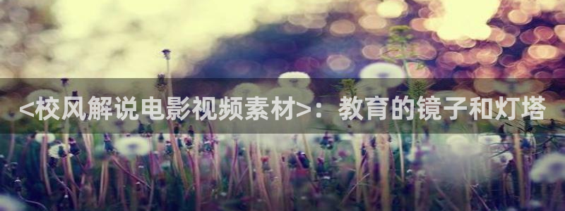 神马影院y