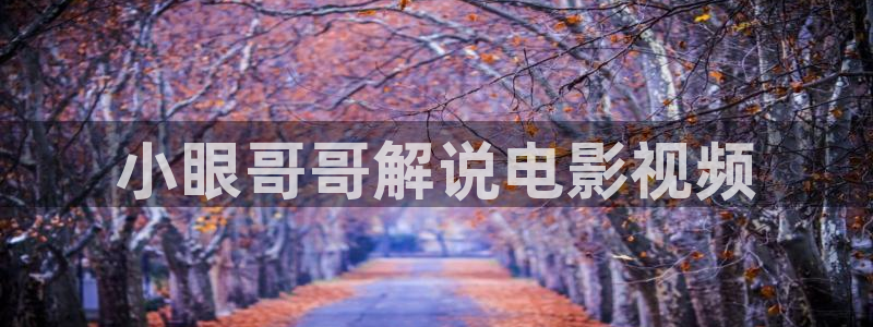 神马电影乱轮