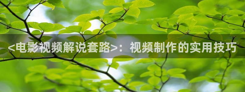 韩国伦理电影神马影院