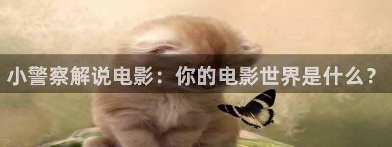 嫂子的职业在线观看神马影视中文