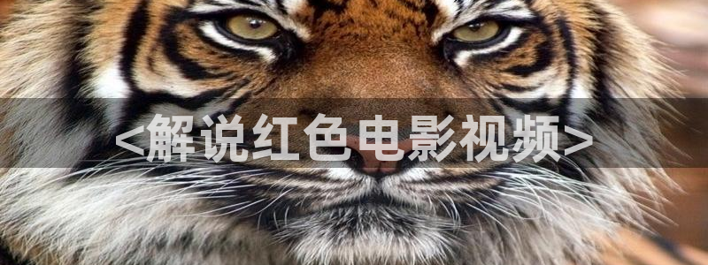 神马电影院在线电影