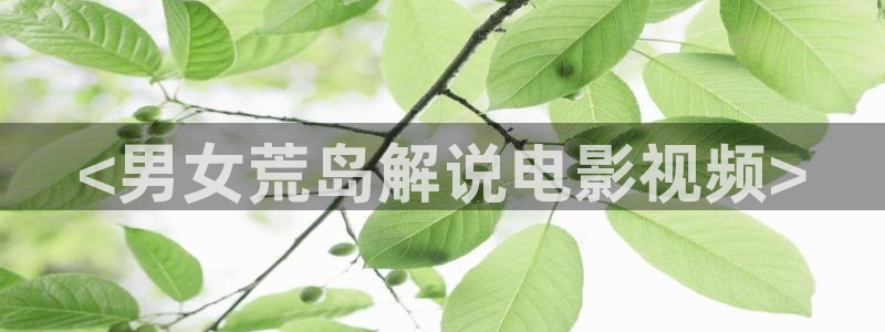 神马三级理伦理影院