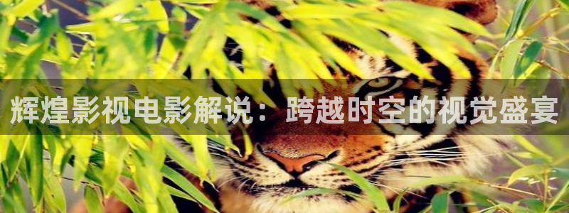 神马影视51
