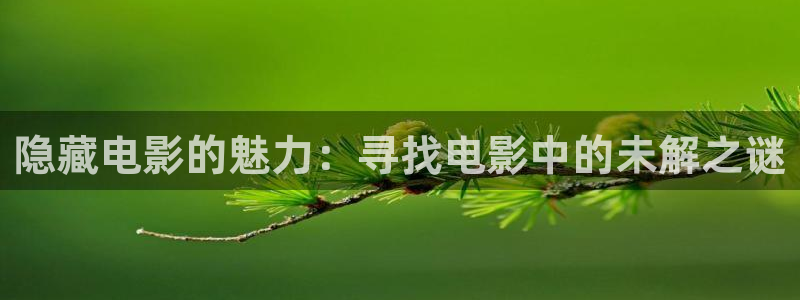 神马电影加勒比女海盗