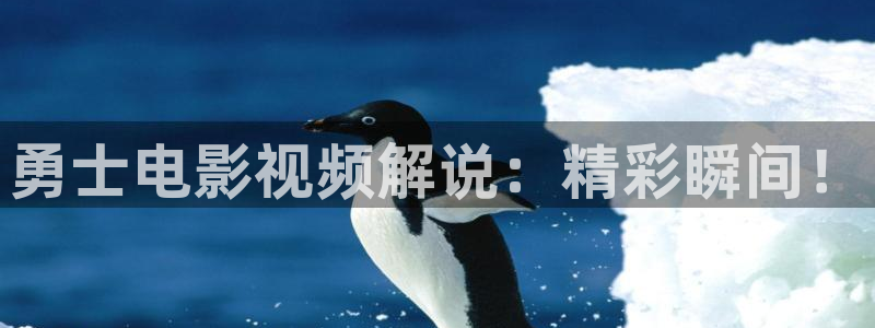 神马电影妈妈的朋友