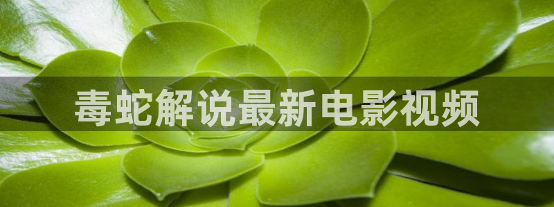 神马电影院手机免费看