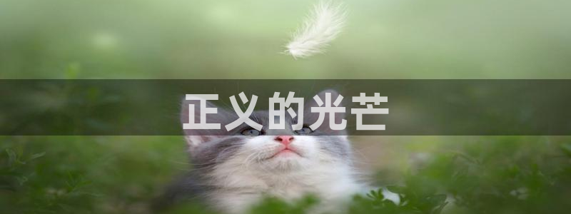 神马电视剧在线观看全集免费播放下载