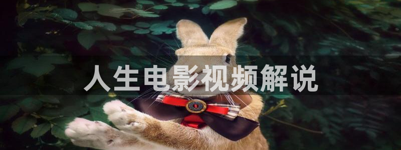 神马影院朋友的妻子