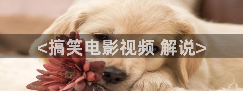 神马影院三米理论