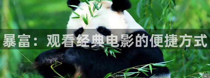 最新神马免费电影推荐