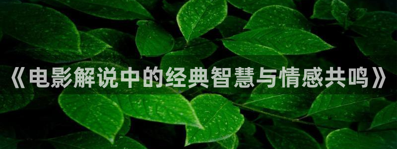 神马888不卡