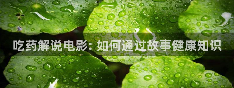 神马日本午夜电影