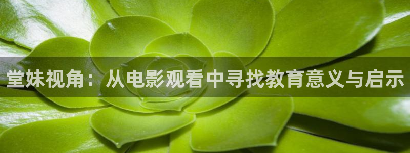 手机神马在线观看电影电视剧全部免费播放