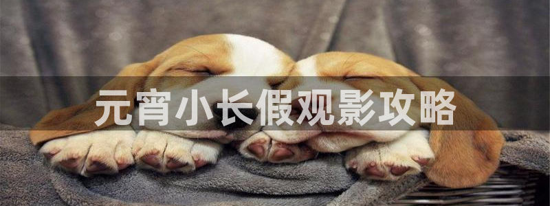 神马影院之午夜