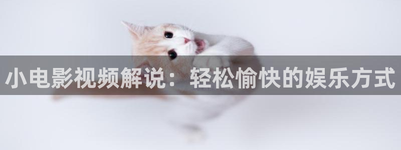 神马电影院手机在线看