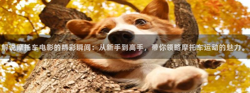 未来神马电影：解说摩托车电影的精彩瞬间：从新手到高手，带你领略摩托车运动的魅力。