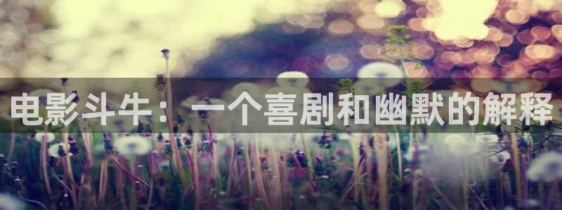 午夜影院神马电影在线观看