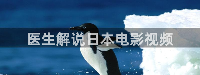 神马午夜我不卡