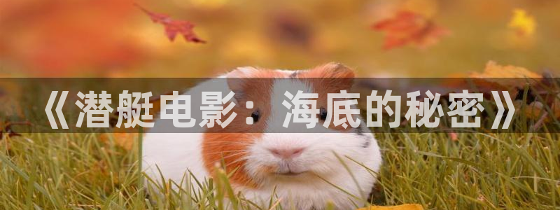 神马影院藏海传