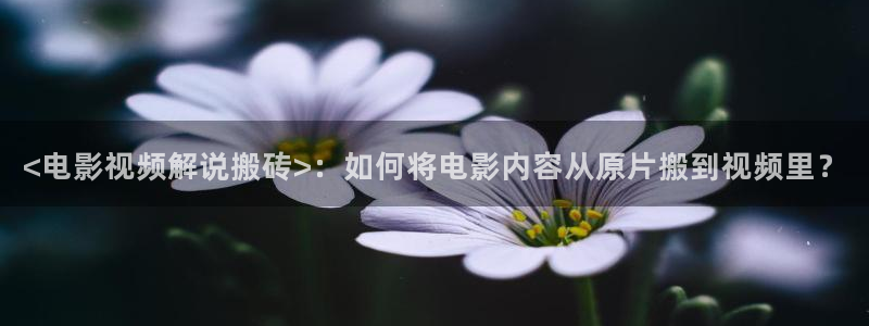 八戒八戒神马影院三级视频